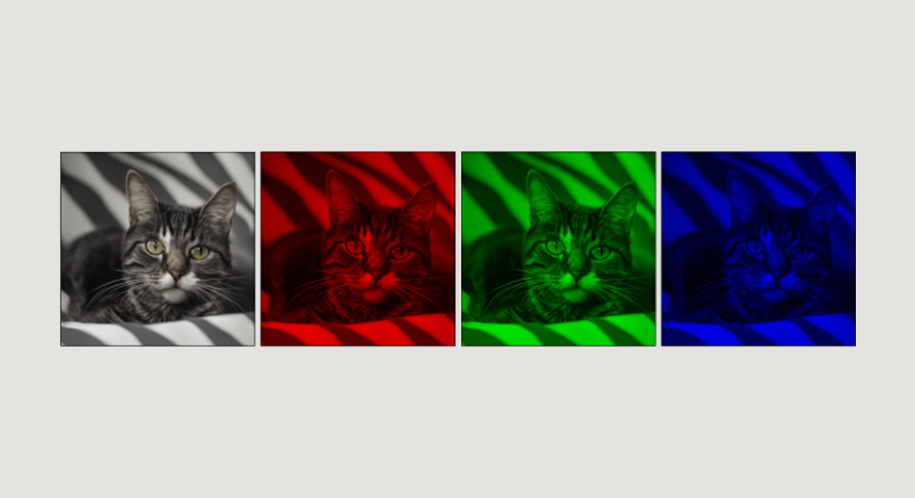 Stable Diffusion generated "black striped cat" deconstructed into red, green, and blue channels (pixel-value variance is approx. uniform across the image for each channel)